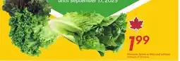 Sobeys Romaine, Green or Red Leaf Lettuce offer