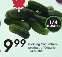 Sobeys Pickling Cucumbers offer