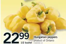 Fortinos HUNGARIAN PEPPERS, 1/BUSHEL offer
