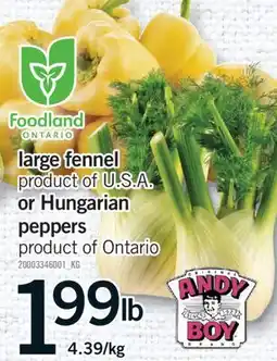 Fortinos LARGE FENNEL OR HUNGARIAN PEPPERS offer