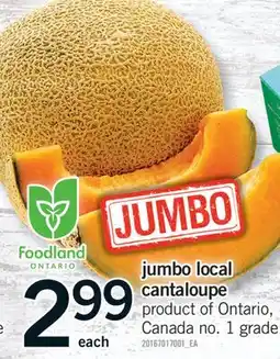 Fortinos JUMBO LOCAL CANTALOUPE offer