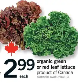 Fortinos ORGANIC GREEN OR RED LEAF LETTUCE offer