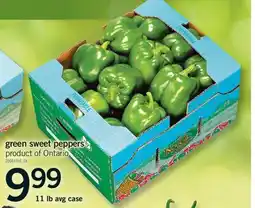 Fortinos GREEN SWEET PEPPERS, 11 LB AVG CASE offer