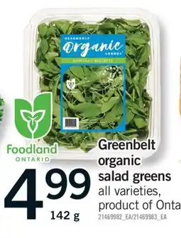 Fortinos GREENBELT ORGANIC SALAD GREENS, 142 G offer