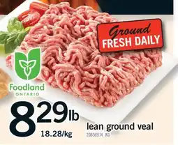 Fortinos LEAN GROUND VEAL offer