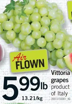 Fortinos VITTORIA GRAPES offer