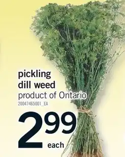 Fortinos PICKLING DILL WEED offer
