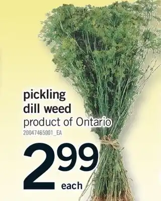 Fortinos PICKLING DILL WEED offer