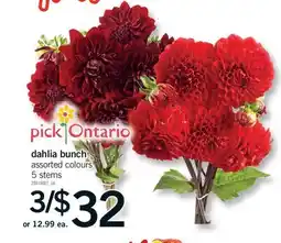 Fortinos DAHLIA BUNCH, 5 STEMS offer