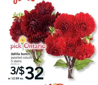 Fortinos DAHLIA BUNCH, 5 STEMS offer