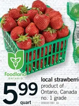 Fortinos LOCAL STRAWBERRIES offer