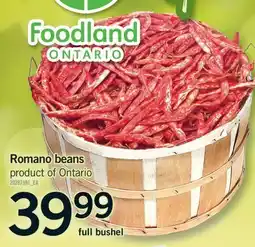 Fortinos ROMANO BEANS, full bushel offer