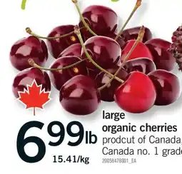Fortinos LARGE ORGANIC CHERRIES offer