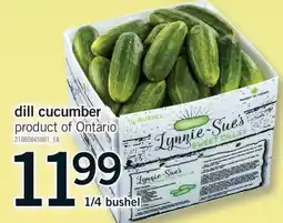 Fortinos DILL CUCUMBER, 1/4 bushel offer