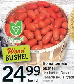 Fortinos ROMA TOMATO BUSHEL offer