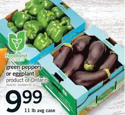 Fortinos GREEN PEPPERS OR EGGPLANT, 11 LB AVG CASE offer