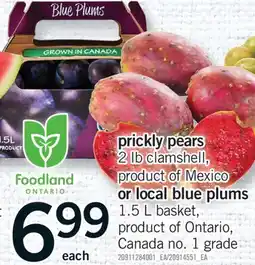 Fortinos PRICKLY PEARS, 2 LB CLAMSHELL, OR LOCAL BLUE PLUM, 1.5 L BASKET offer