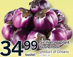 Fortinos SICILIAN EGGPLANT BUSHEL BOX offer