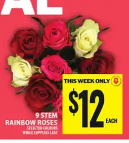 Food Basics 9 STEM RAINBOW ROSES offer