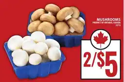 Food Basics MUSHROOMS offer