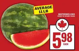 Food Basics WATERMELONS offer
