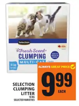 Food Basics SELECTION CLUMPING LITTER offer