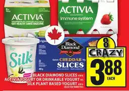 Food Basics BLACK DIAMOND SLICES OR ACTIVIA YOGURT OR DRINKABLE YOGURT OR SILK PLANT BASED YOGURT offer