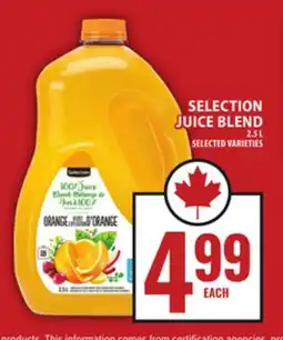 Food Basics SELECTION JUICE BLEND offer
