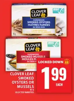 Food Basics CLOVER LEAF SMOKED OYSTERS OR MUSSELS offer