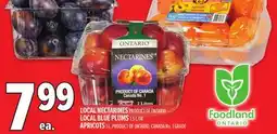 Metro LOCAL NECTARINES offer