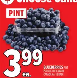 Metro BLUEBERRIES offer