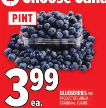 Metro BLUEBERRIES offer
