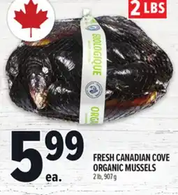 Metro FRESH CANADIAN COVE ORGANIC MUSSELS offer