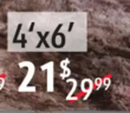 Sushi Shop 4'x6' Assorted Shag Carpets offer