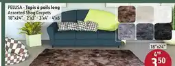 Sushi Shop Assorted Shag Carpets offer