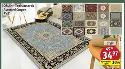 Sushi Shop Assorted Carpets offer