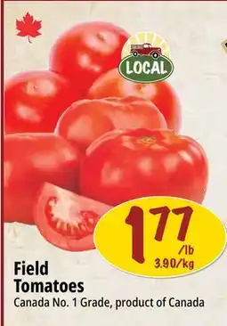 Farm Boy Field Tomatoes offer