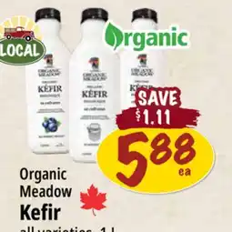 Farm Boy Organic Meadow Kefir offer