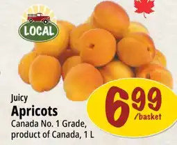 Farm Boy Juicy Apricots offer