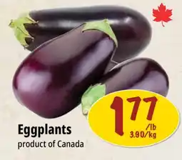 Farm Boy Eggplants offer