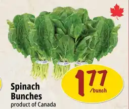 Farm Boy Spinach Bunches offer