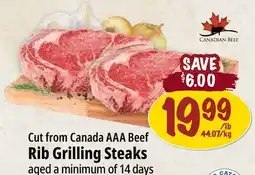 Farm Boy Cut from Canada AAA Beef Rib Grilling Steaks offer