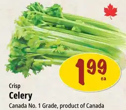 Farm Boy Crisp Celery offer