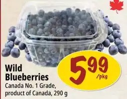 Farm Boy Wild Blueberries offer