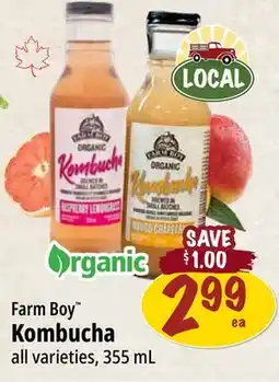 Farm Boy Farm Boy Kombucha offer