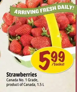 Farm Boy Strawberries offer