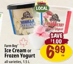 Farm Boy Farm Boy Ice Cream or Frozen Yogurt offer