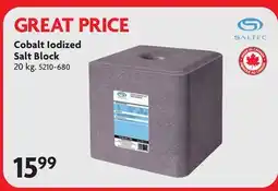 Home Hardware Cobalt Iodized Salt Block offer