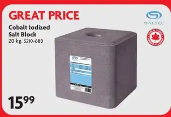 Home Hardware Cobalt Iodized Salt Block offer