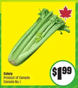 FreshCo Celery Product of Canada No. 1 offer